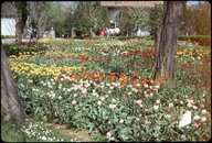 AFMRMH152001.jpg.jpg
