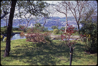 AFMRMH138001.jpg.jpg