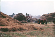 GBPH00278001.jpg.jpg