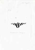 GDSK0816001.jpg.jpg