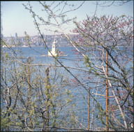 GBPH00274001.jpg.jpg