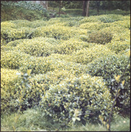 GBPH00231001.jpg.jpg