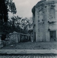 TASUH1920.jpg.jpg