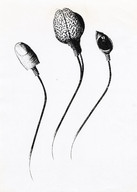 GDSK0740001.jpg.jpg