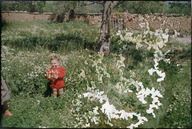 AFMRMH020.jpg.jpg