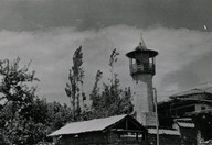 TASUH1943001.jpg.jpg