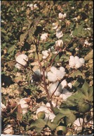 GBPH00230001.jpg.jpg