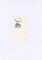 GDSK0217001.jpg.jpg