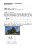 ERD002.pdf.jpg